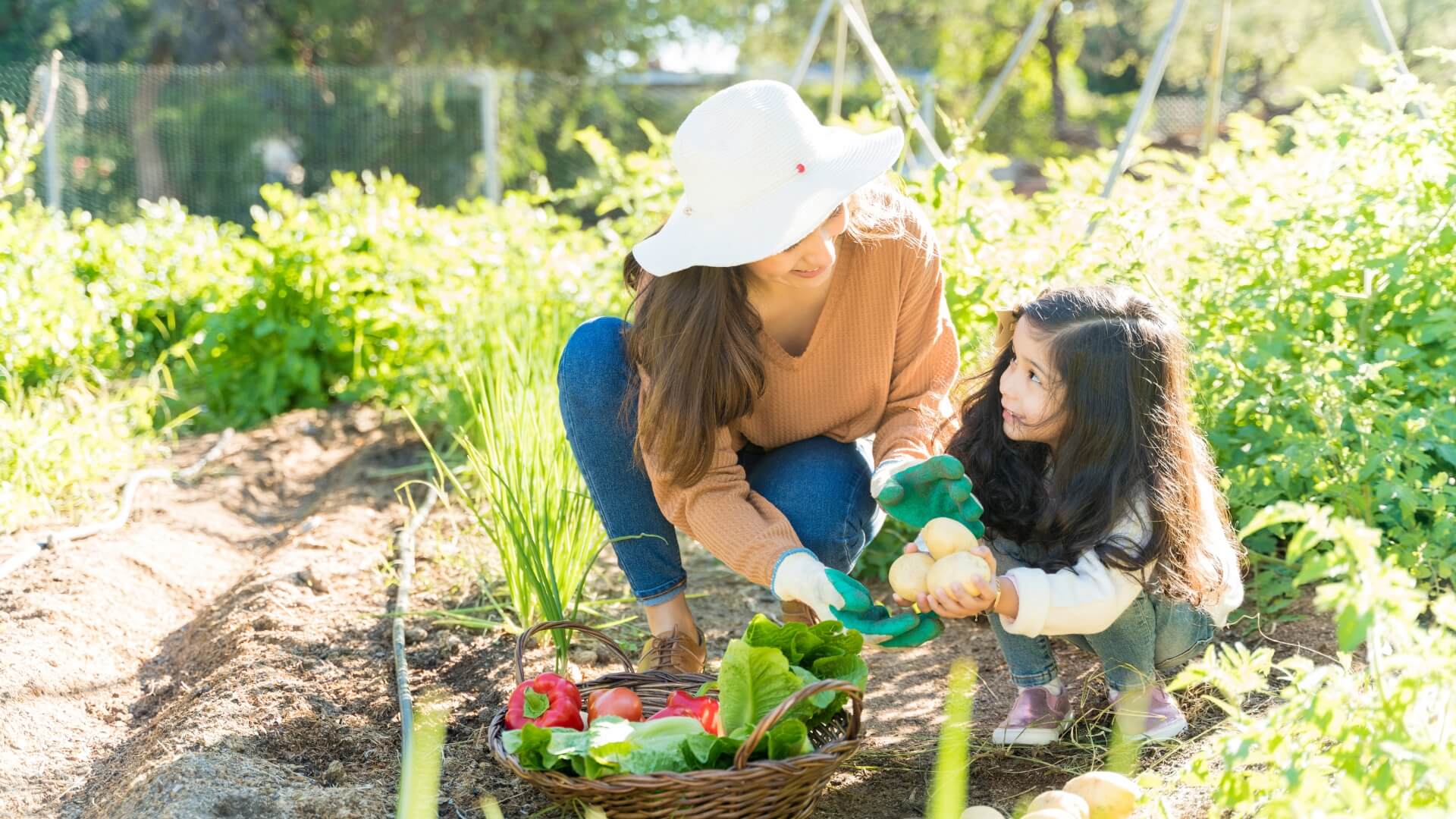 The Power of Home-Grown Food: How It Improves Your Health and the Planet!