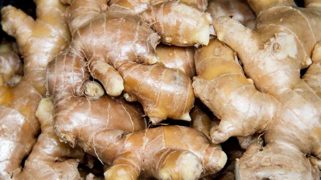 image os row ginger roots on a table in the article what is ginger roots good for