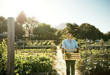 an image of a woman caring for a sustainable living garden carrying green vegetations