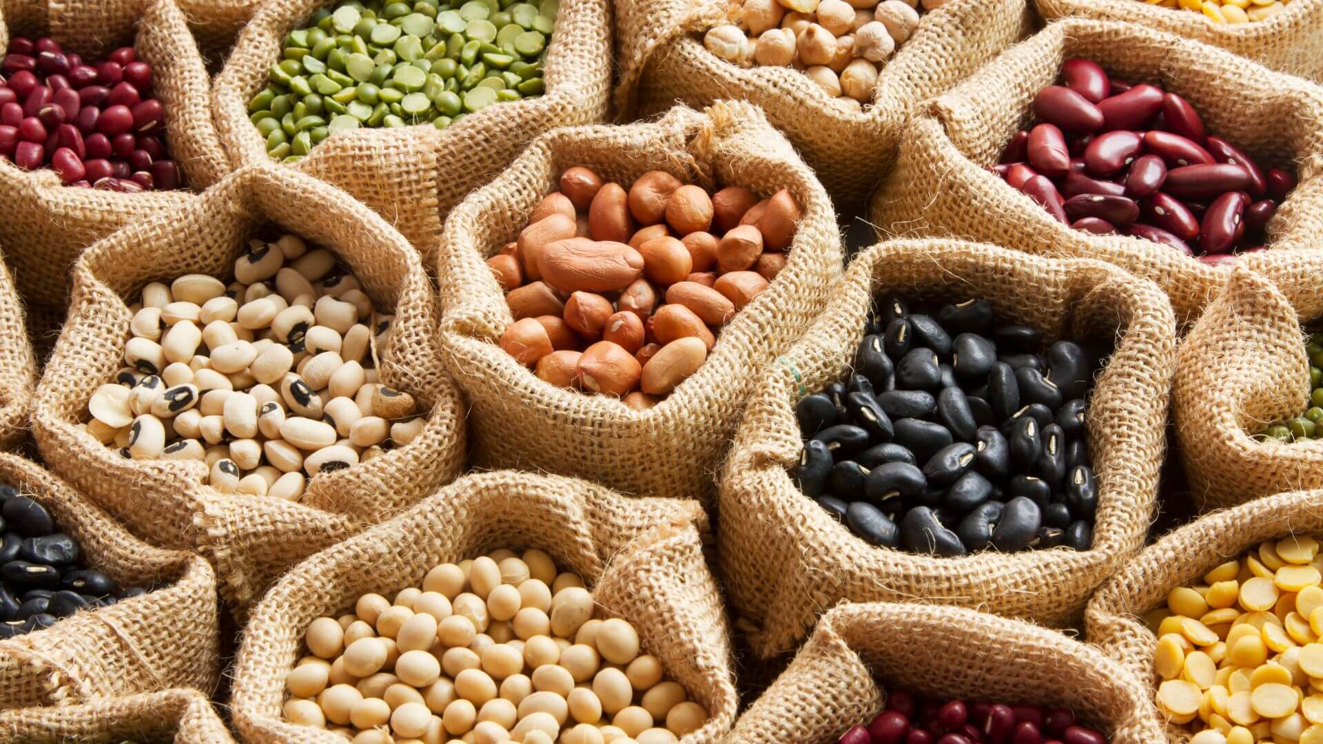 image of various legumes that are plant-based protein source